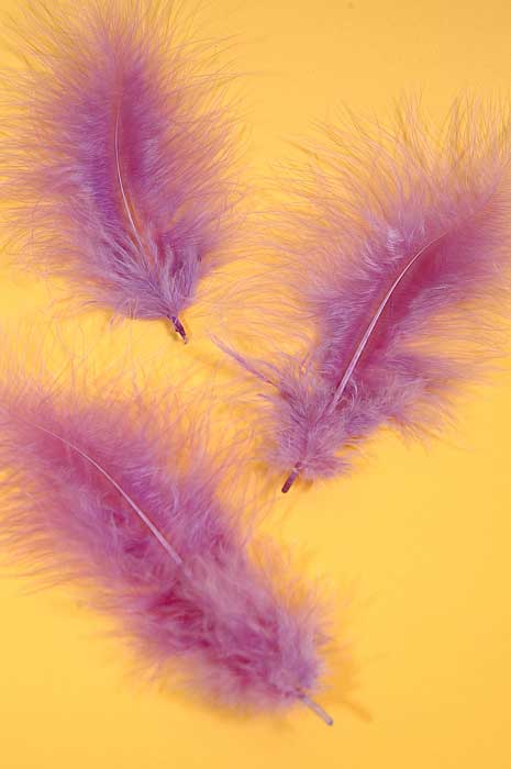5" - 7" Ostrich Feather Lavender Pkg/50
