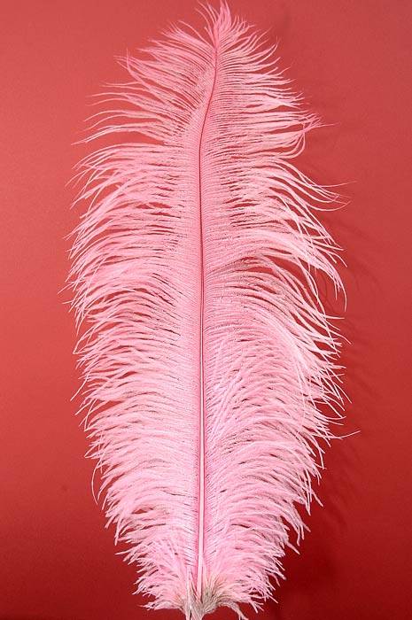 18"-22" Ostrich Feather Light Pink Pkg/12