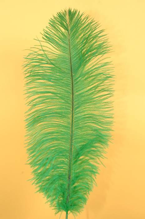 14"-16" Ostrich Feather Kelly Green Pkg/12