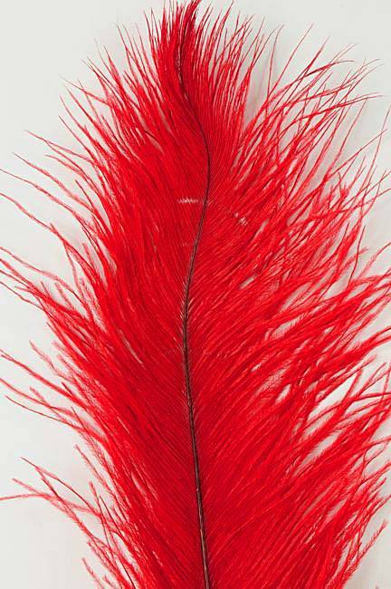 14"-16" Ostrich Feather Red Pkg/12