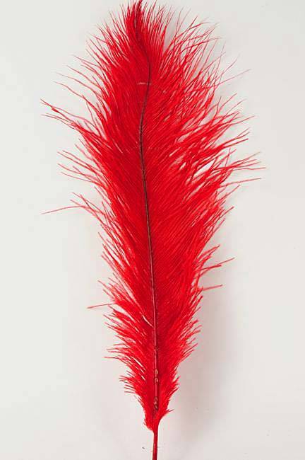 14"-16" Ostrich Feather Red Pkg/12