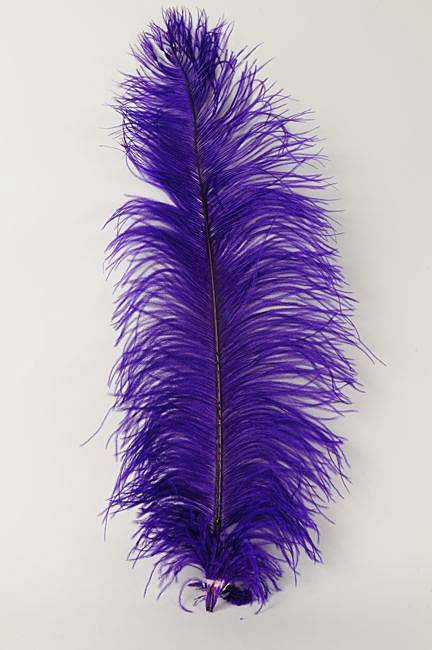 22"-26" Ostrich Plum Purple Pkg/6