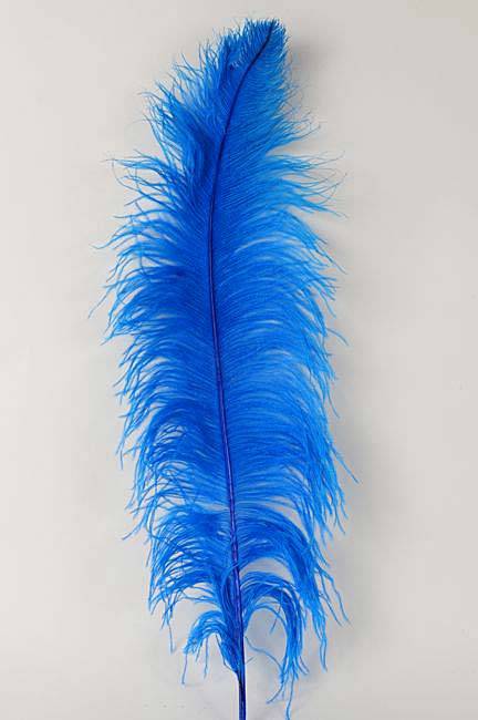 22"-26" Ostrich Plum Turquoise Pkg/6