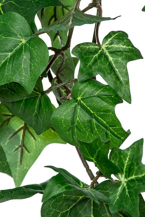 33" English Ivy Bush Green