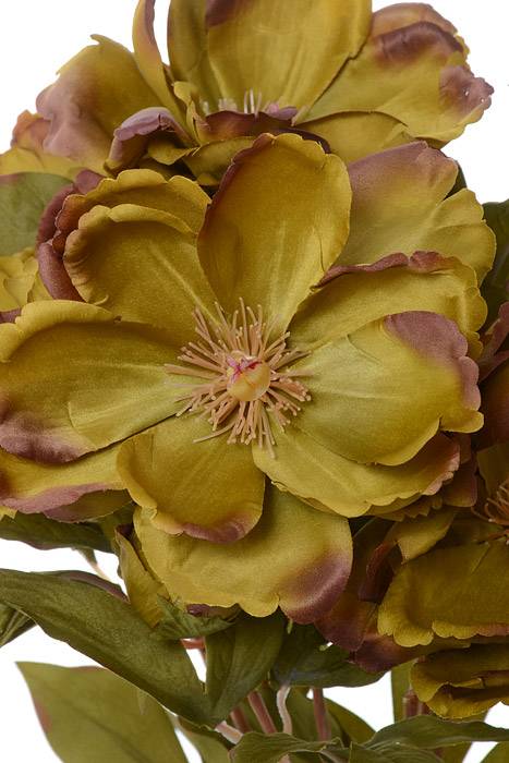 21" Silk Magnolia Bush Green