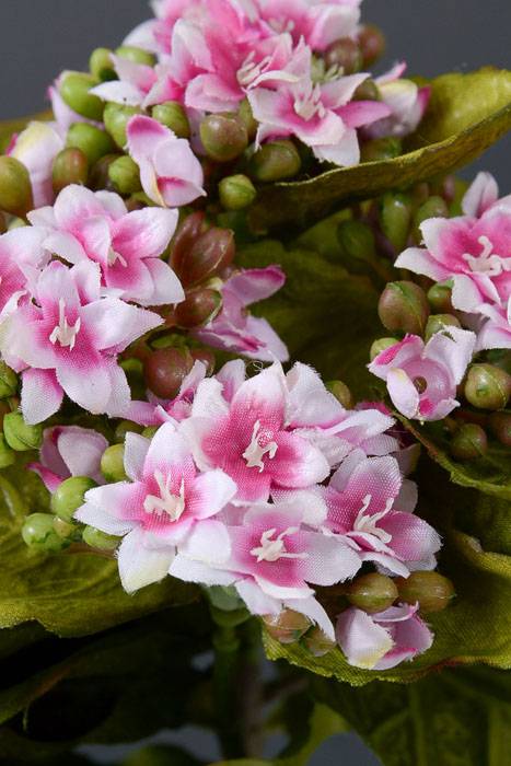 9" Mini Silk Kalanchoe Bush Pink
