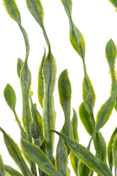 23.5" Spiral Grass Bush Green