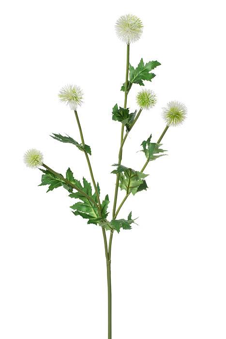 28.5" Globe Thistle Spray White