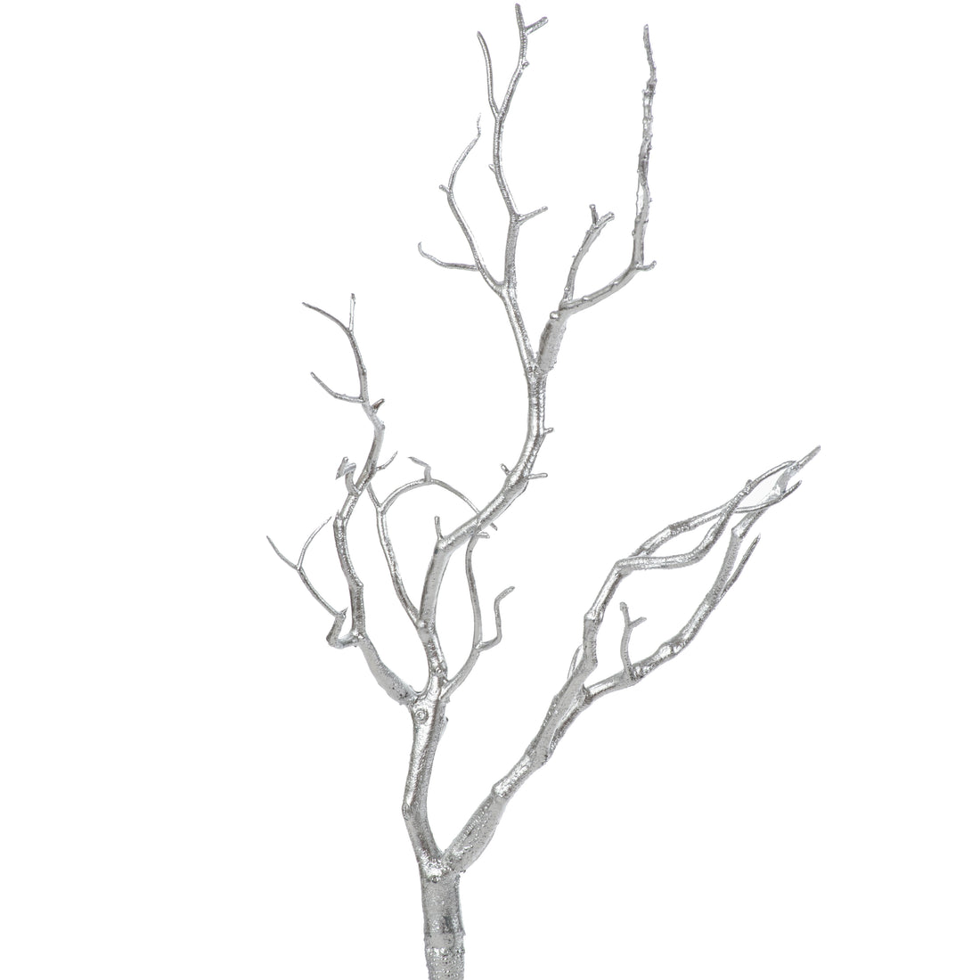 Branches