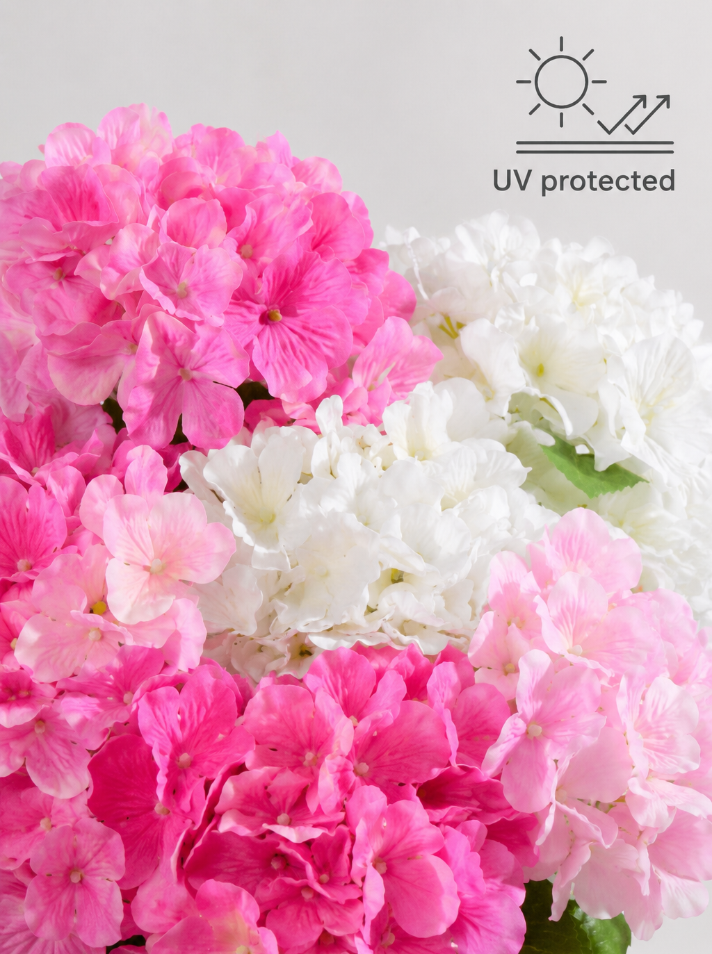UV Protected