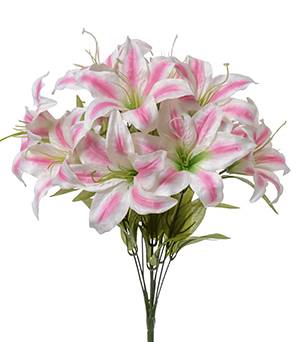 Lilies