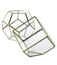 Hira Glass & Terrarium Display Boxes