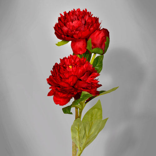 Red Flowers