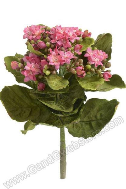 9" Mini Silk Kalanchoe Bush Rose