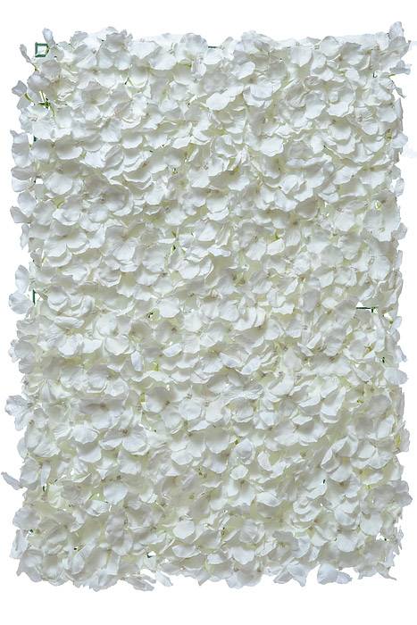 16" X 24" Wisteria Mat Ivory