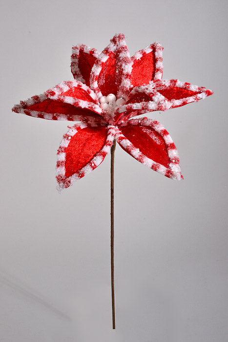 22" Candy with Snow Glitter Poinsettia Stem Red/White