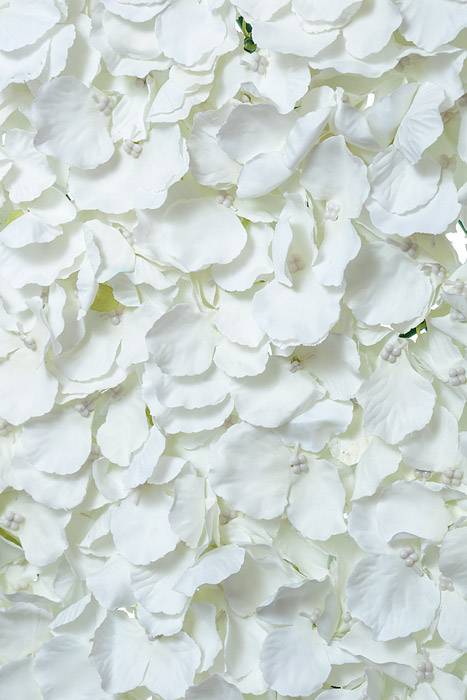 16" X 24" Wisteria Mat Ivory