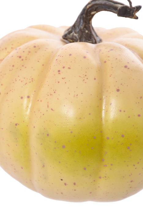 7" Wide Harvest Pumpkin Cream