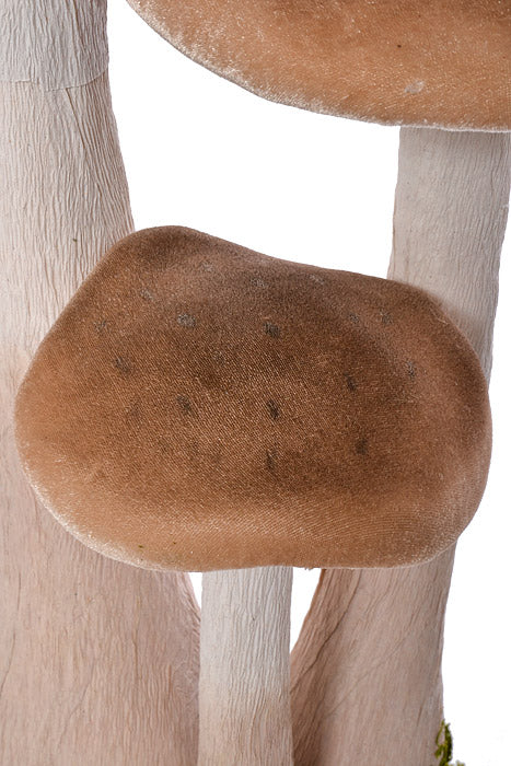 16.1" X 12.6" X 22.8" Easter Mushroom Nature