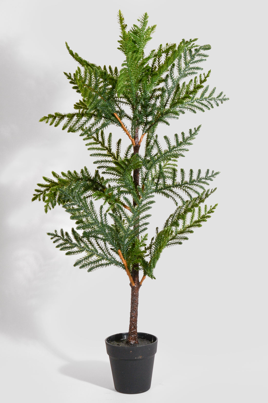 36" Artificial Norfolk Pine Tree In Pot Green