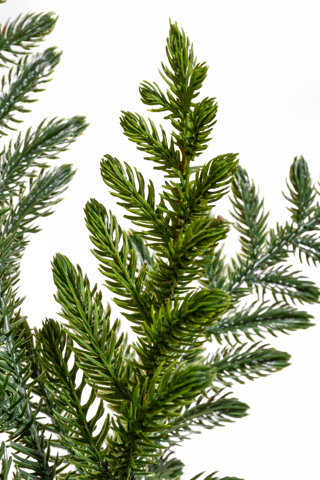 36" Artificial Norfolk Pine Tree In Pot Green