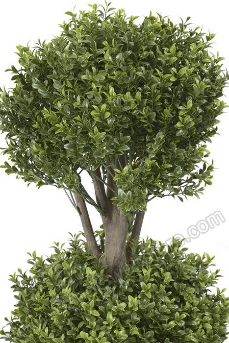 4ft Triple Ball Boxwood Topiary Tree In Pot Green