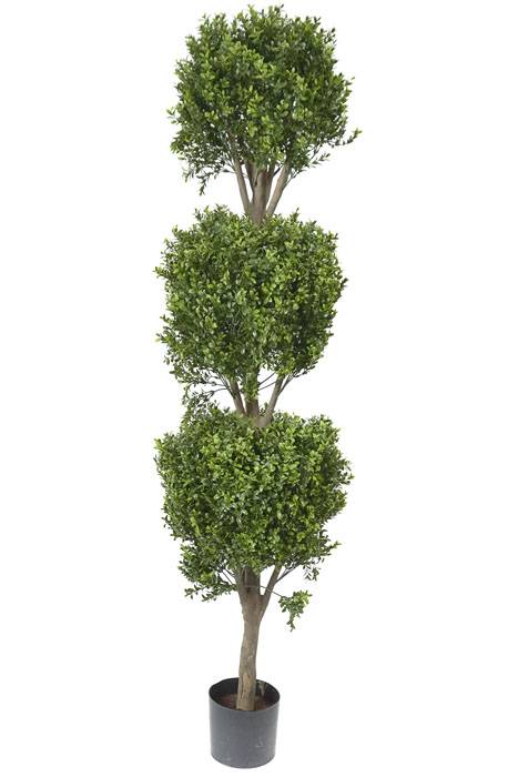 5ft Triple Ball Boxwood Topiary Tree In Pot Green