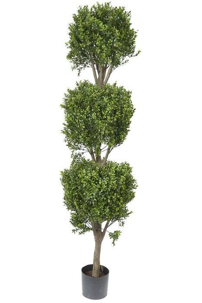 5ft Triple Ball Boxwood Topiary Tree In Pot Green