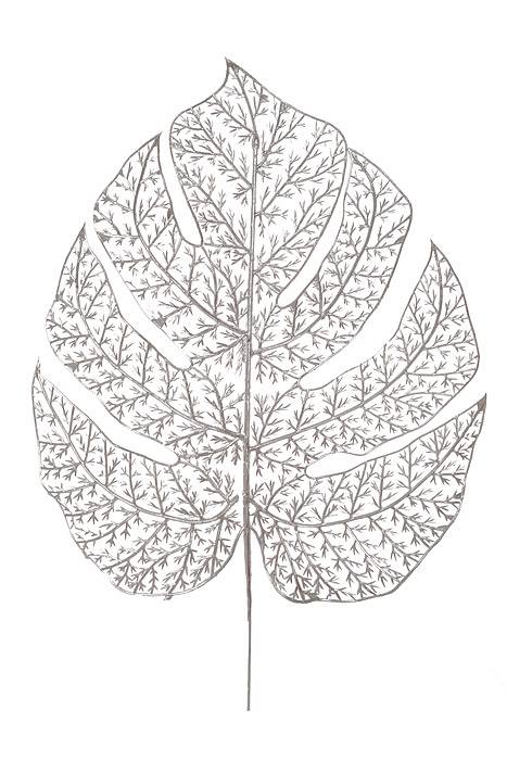 11" Metallic Montera Leaf Silver