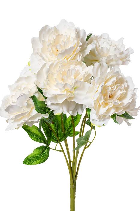 21.5" Peony Bush X7 White