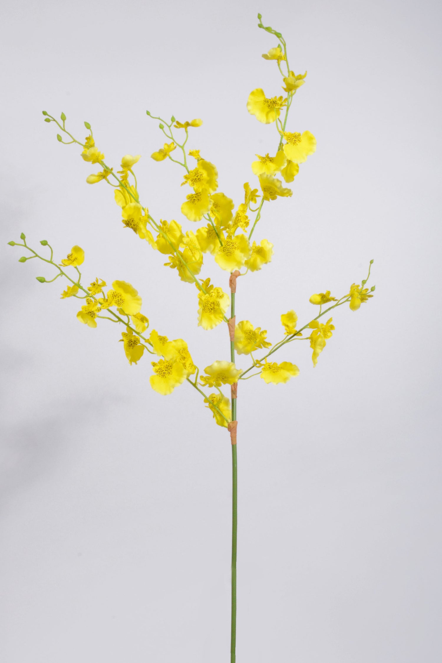 36" Silk Oncidium Orchid Spray Yellow