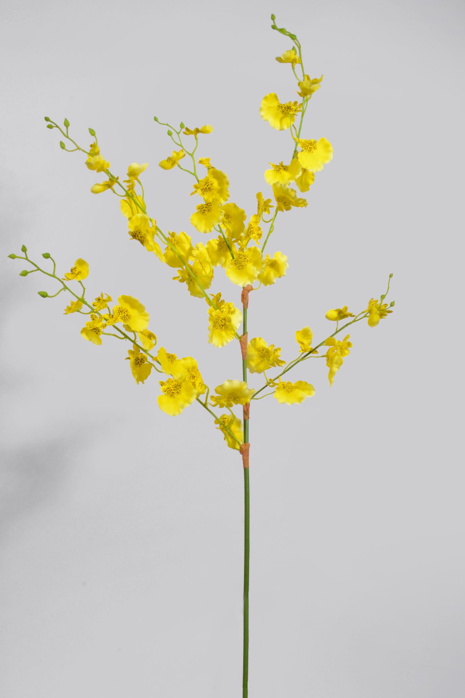 36" Silk Oncidium Orchid Spray Yellow