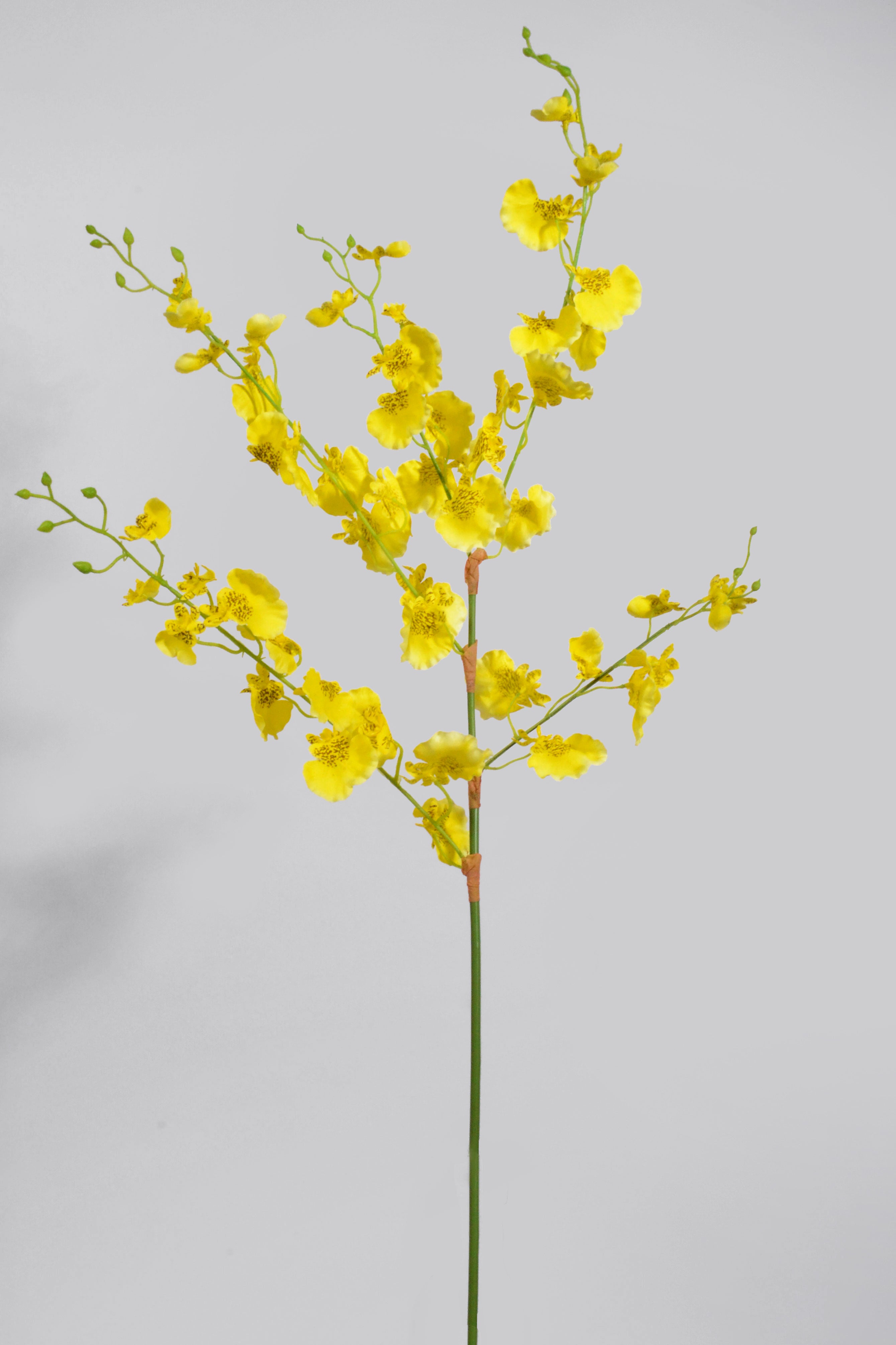 36" Silk Oncidium Orchid Spray Yellow
