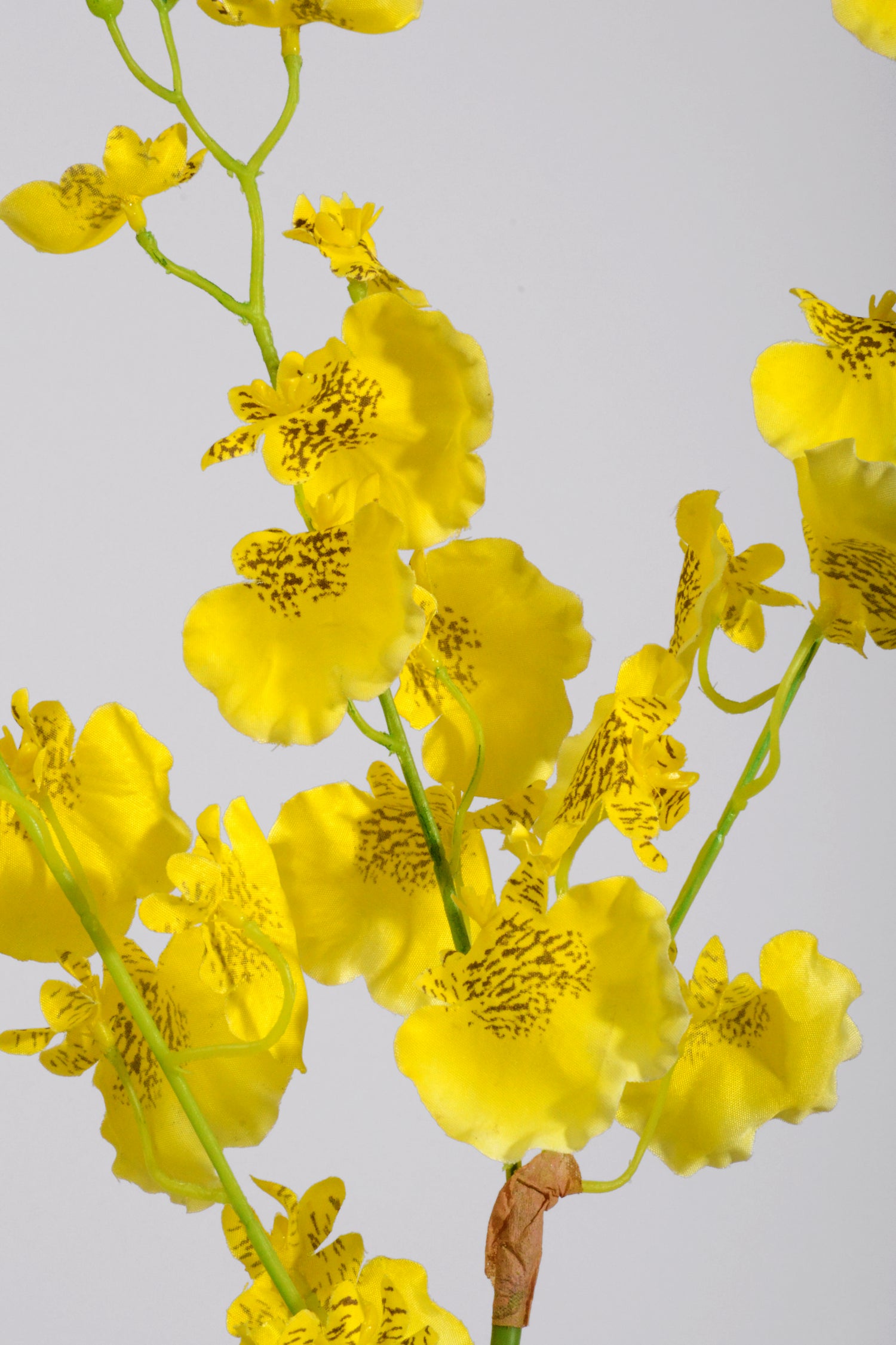 36" Silk Oncidium Orchid Spray Yellow