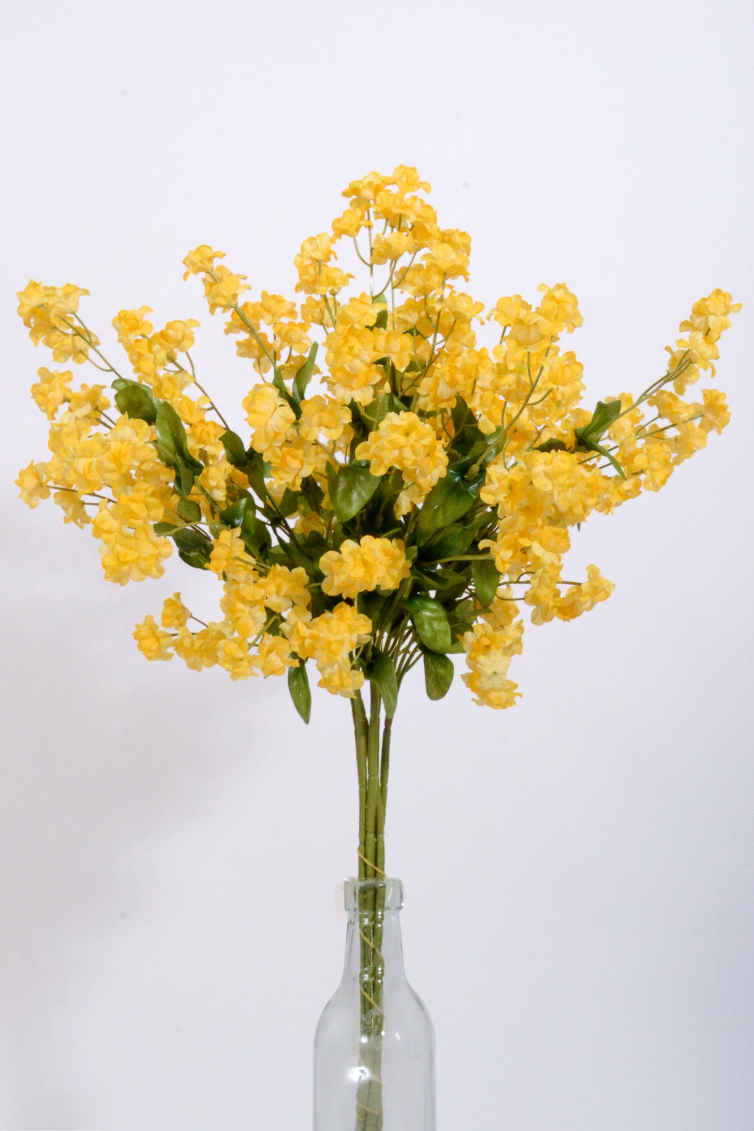 19" Double Baby Breath Spray Gold Pkg/6