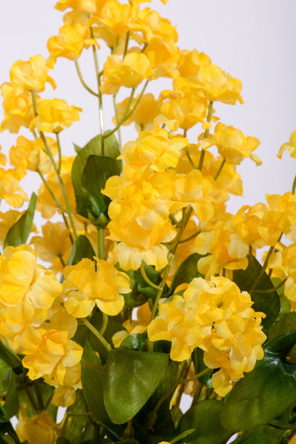 19" Double Baby Breath Spray Gold Pkg/6