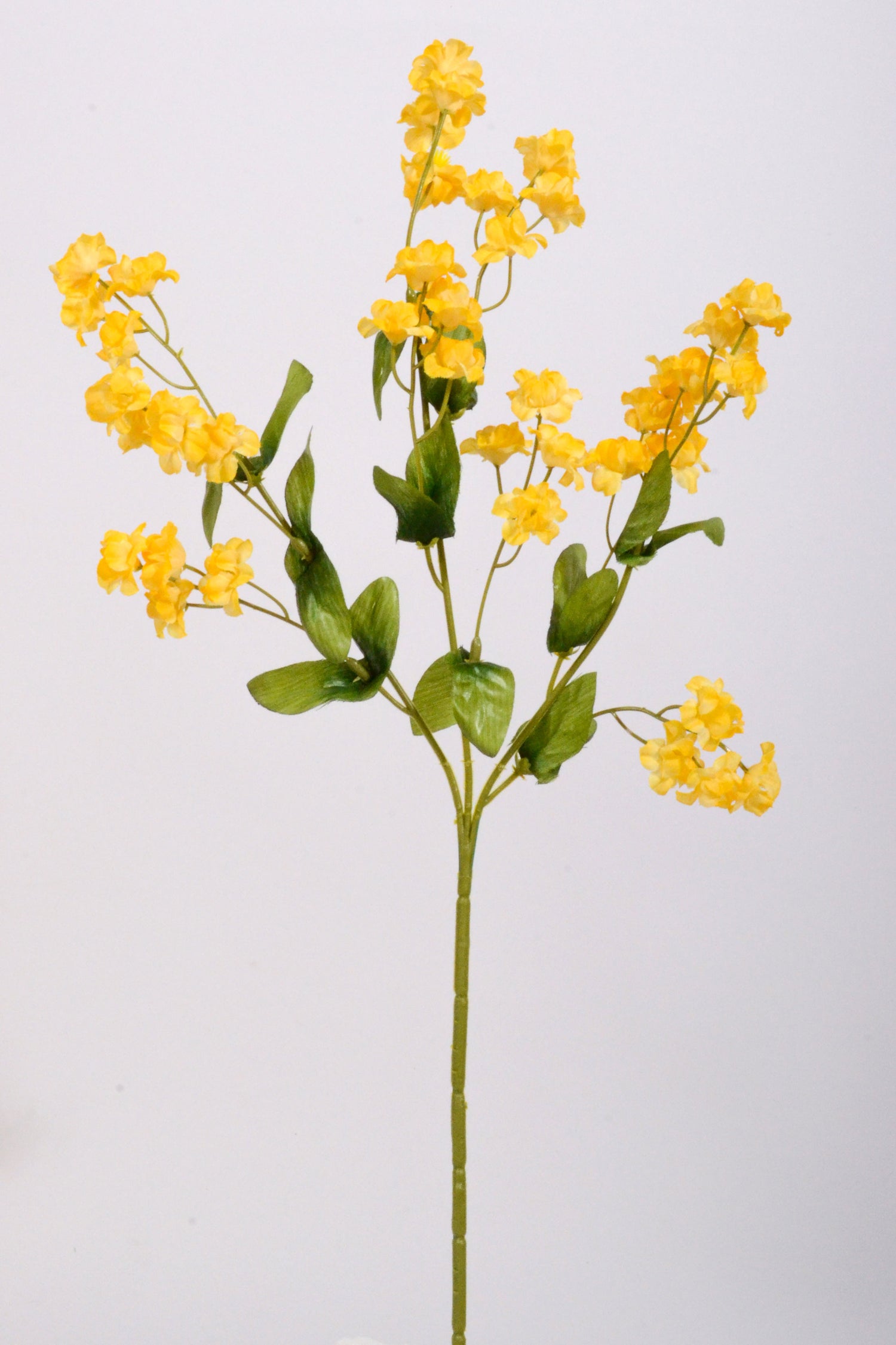 19" Double Baby Breath Spray Gold Pkg/6