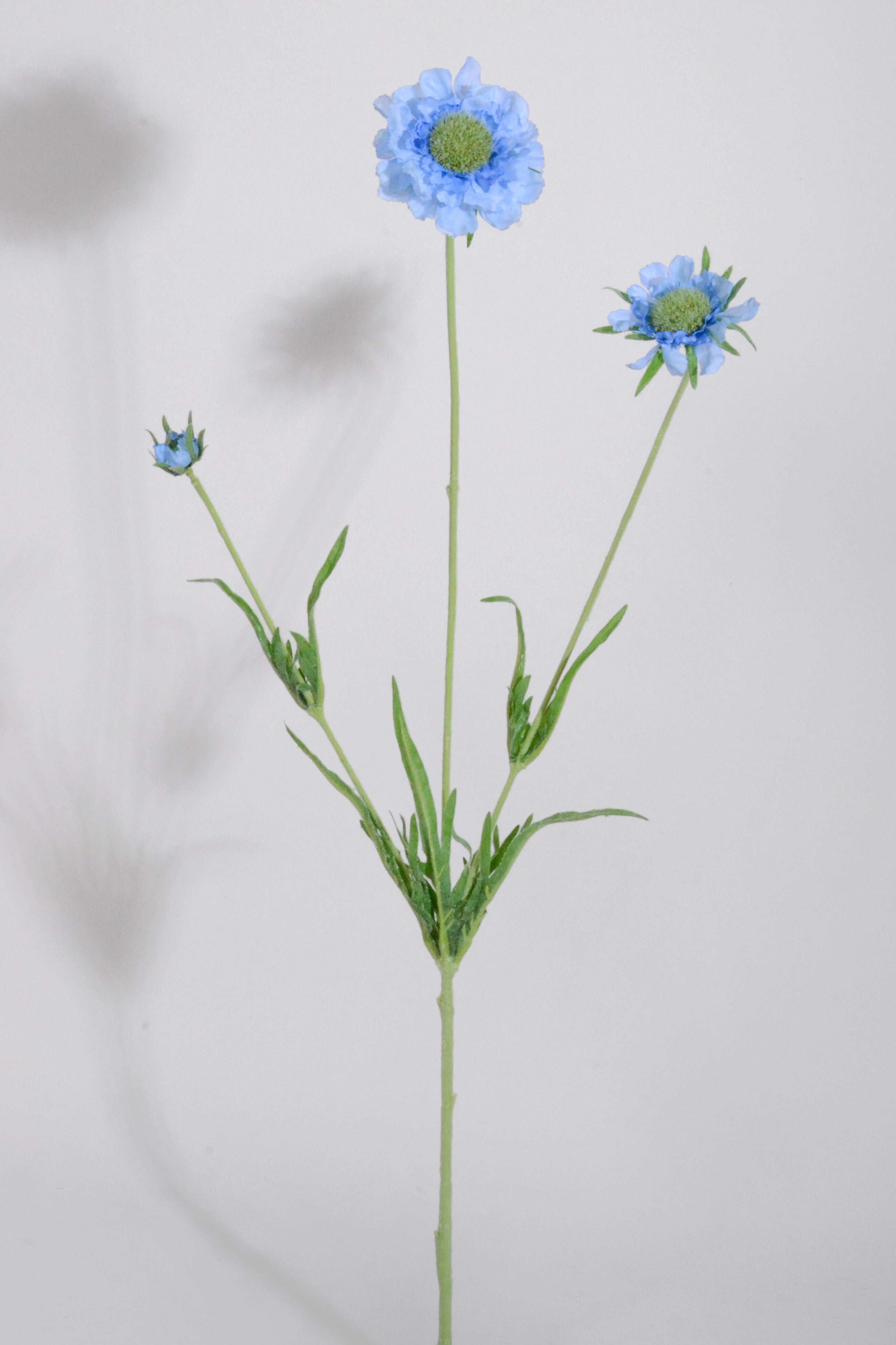 25.25" Silk Scabiosa Spray Blue