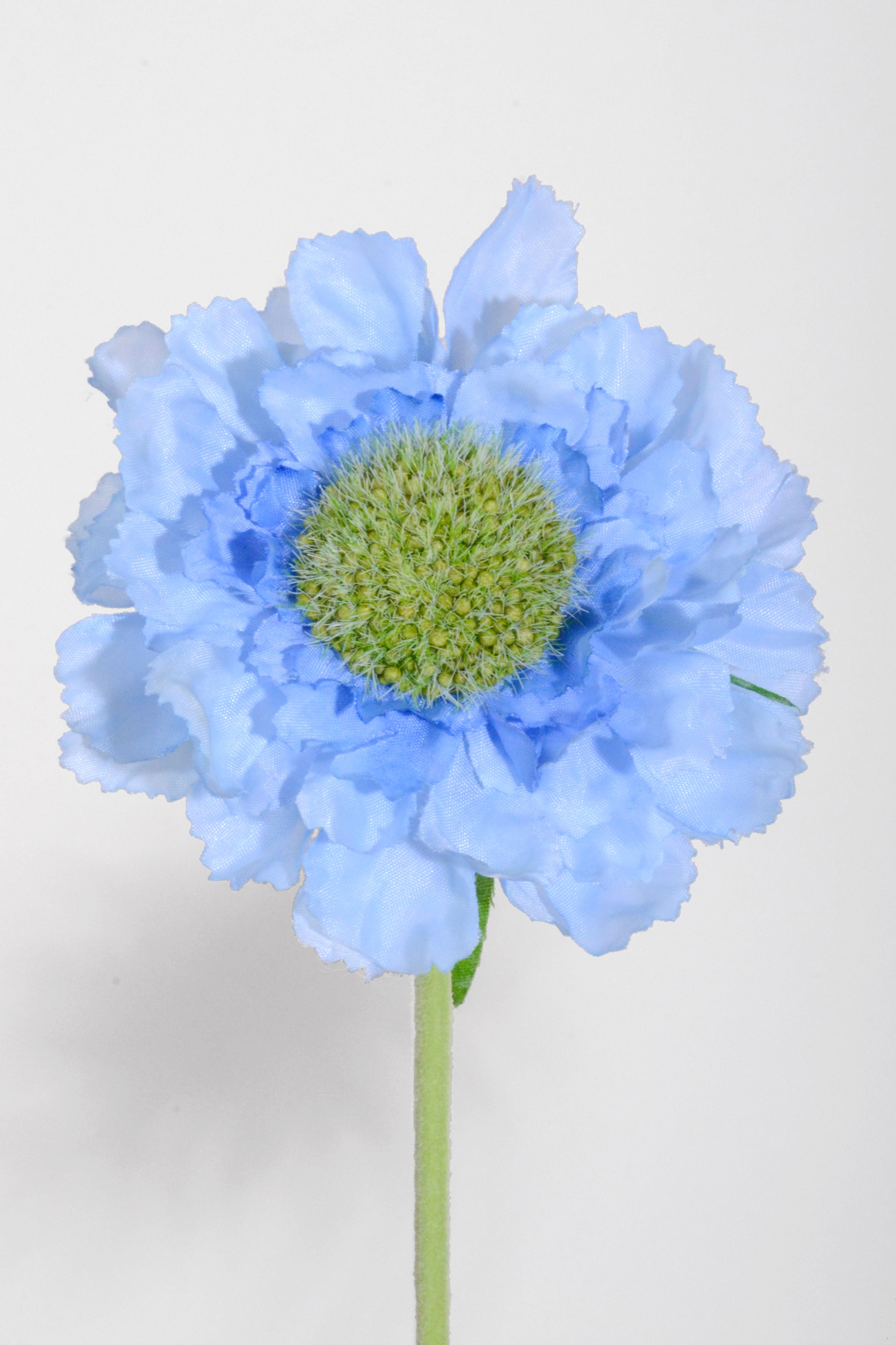 25.25" Silk Scabiosa Spray Blue