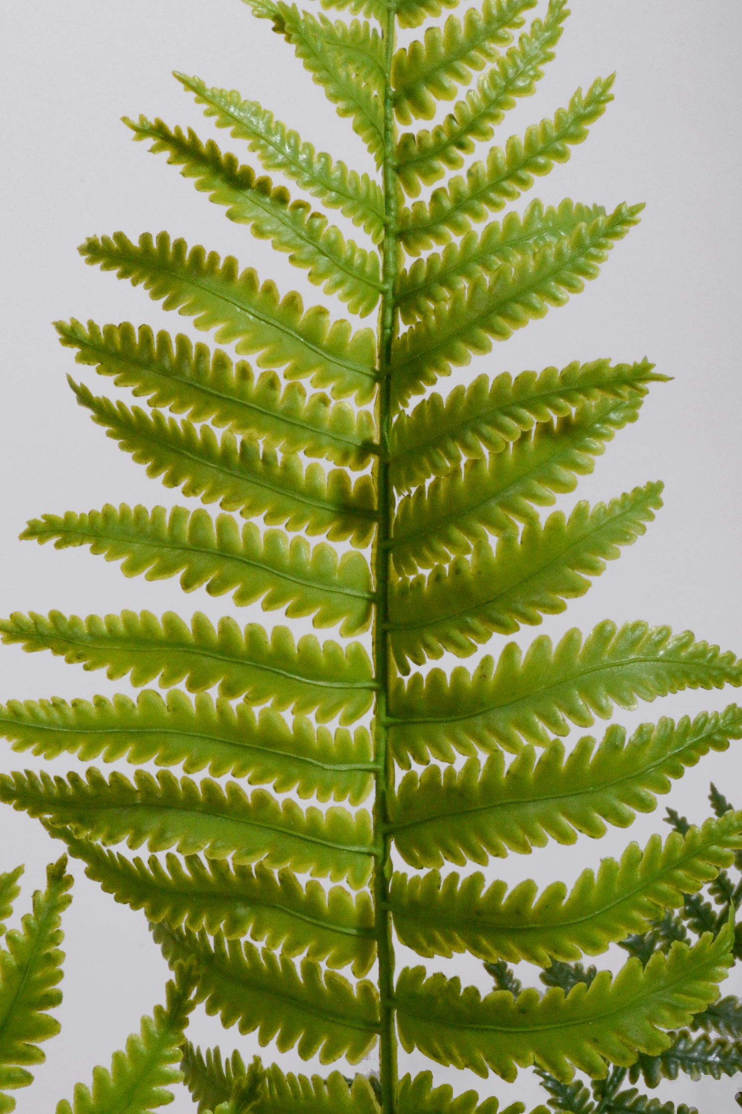 28" Real Touch Ruffle Fern Green