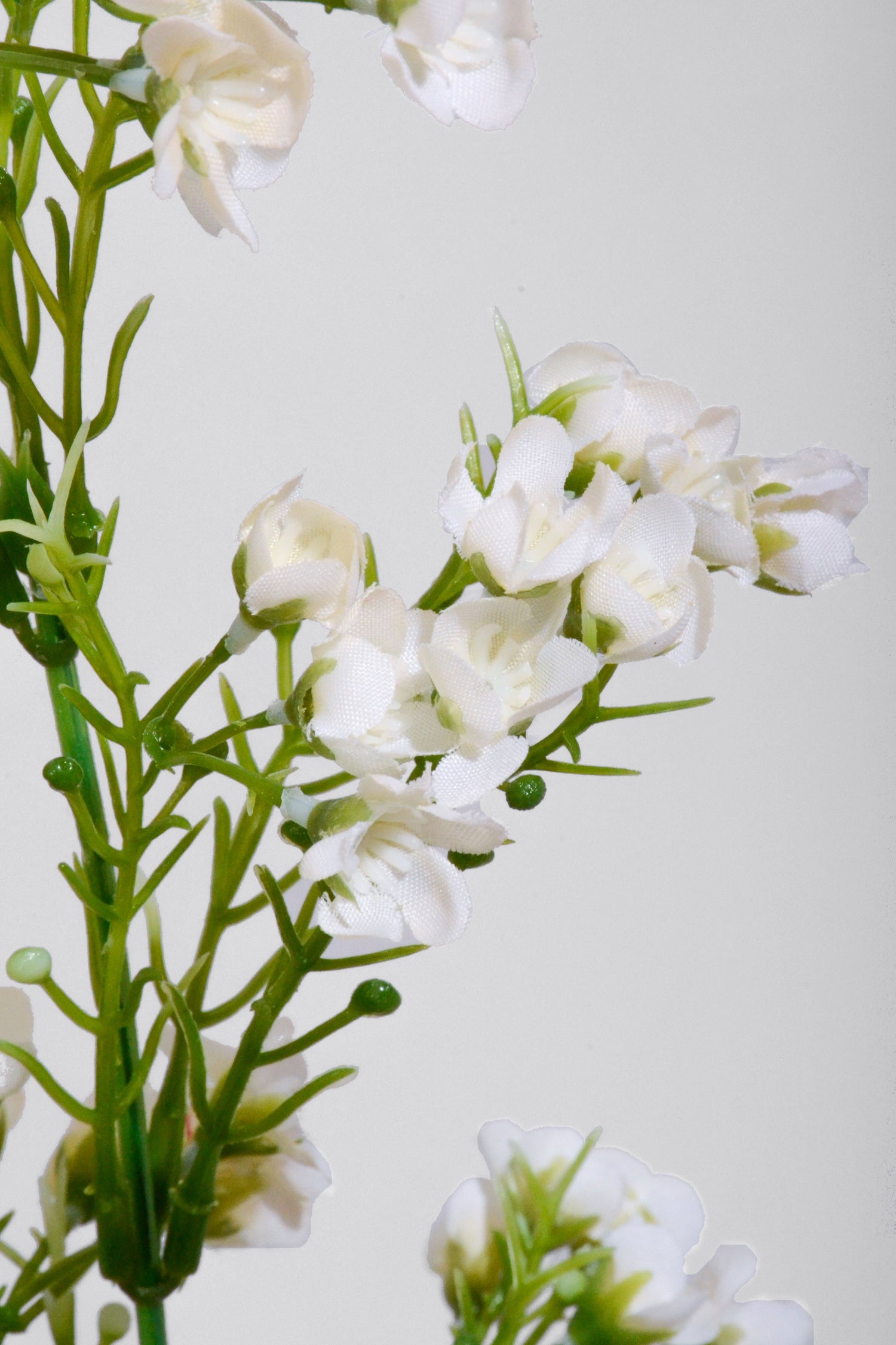 19" Artificial Waxflower Bush Cream