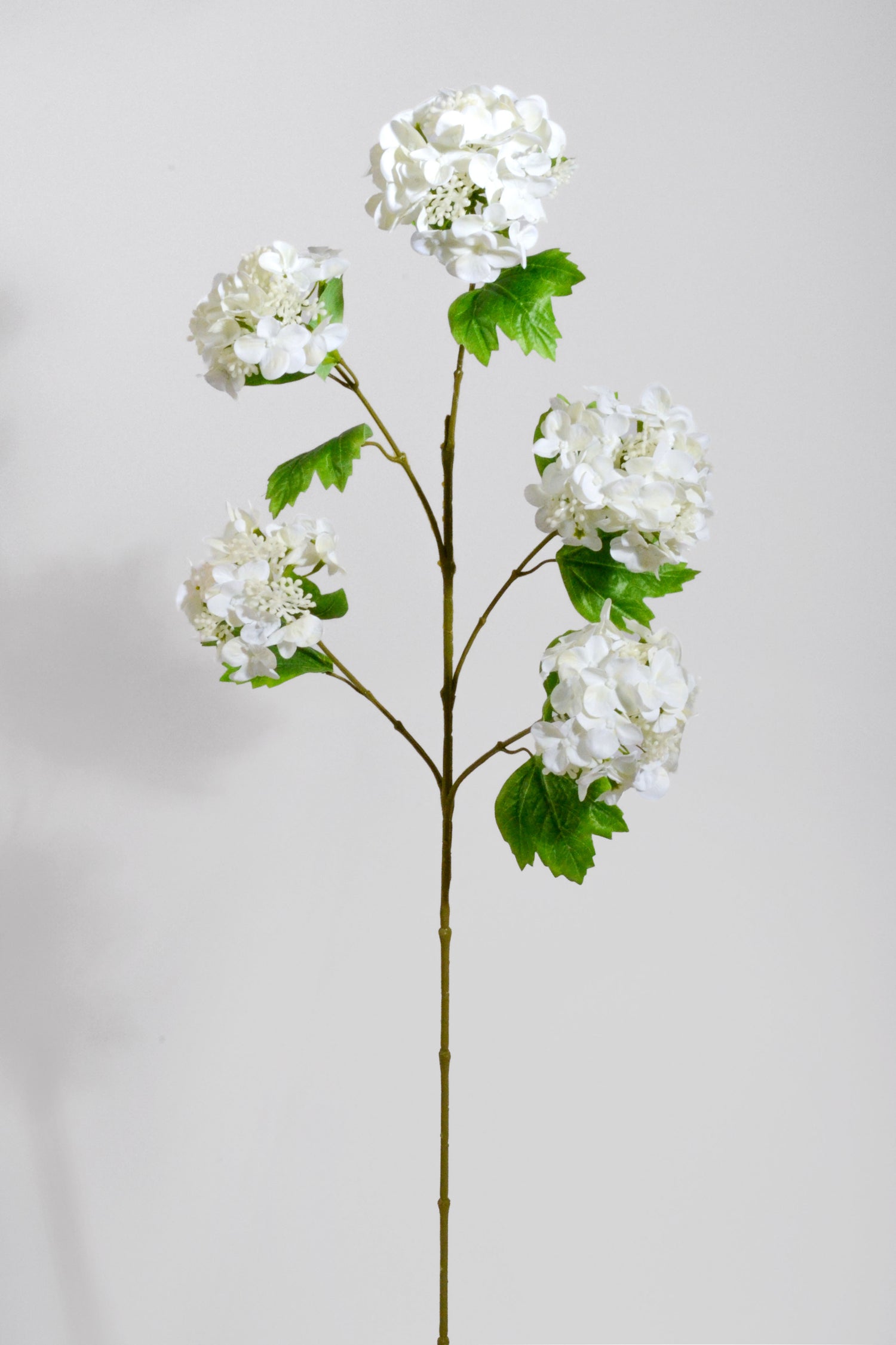 37" Silk Snowball Spray Cream