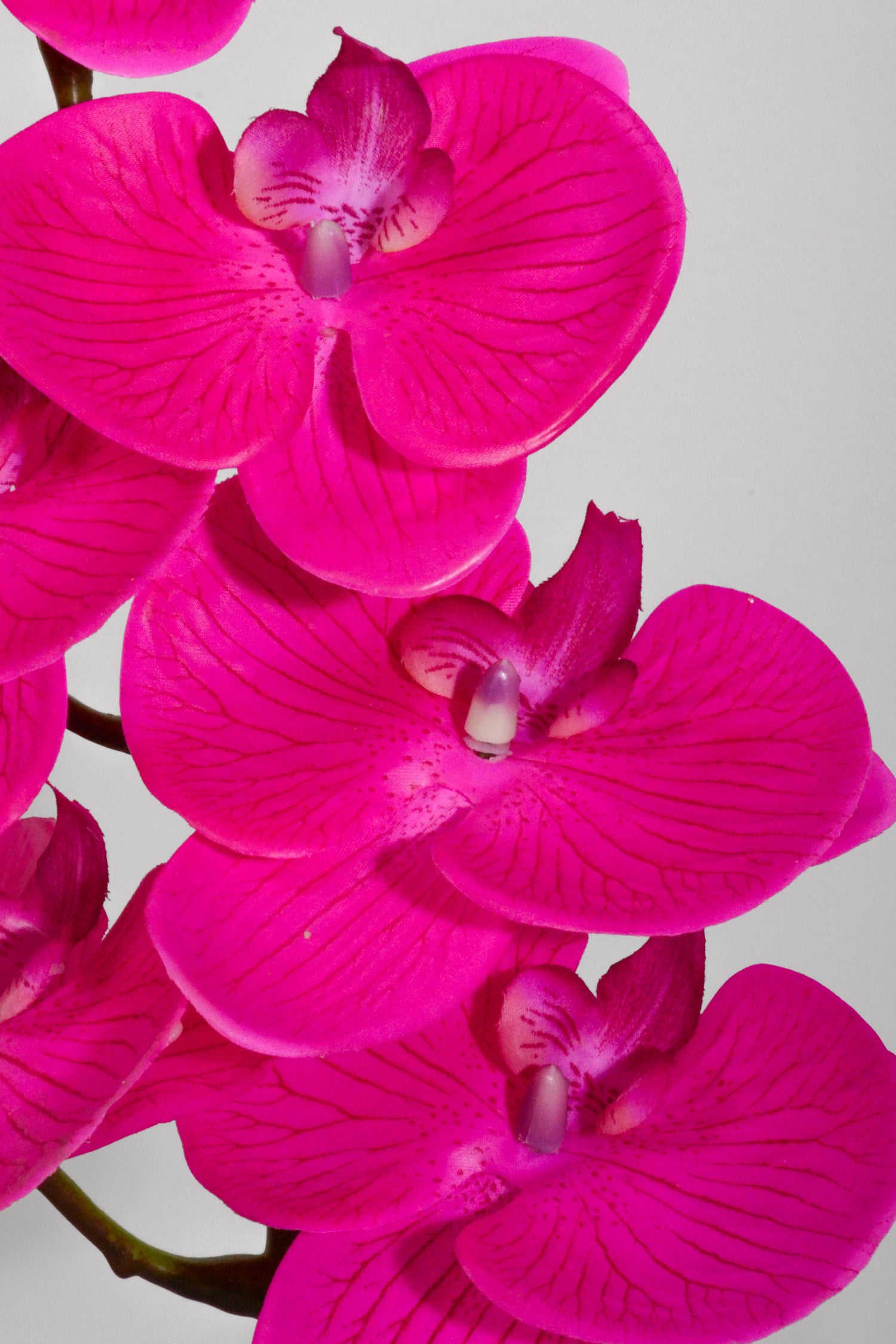 40" Real Touch Phalaenopsis Spray Orchid