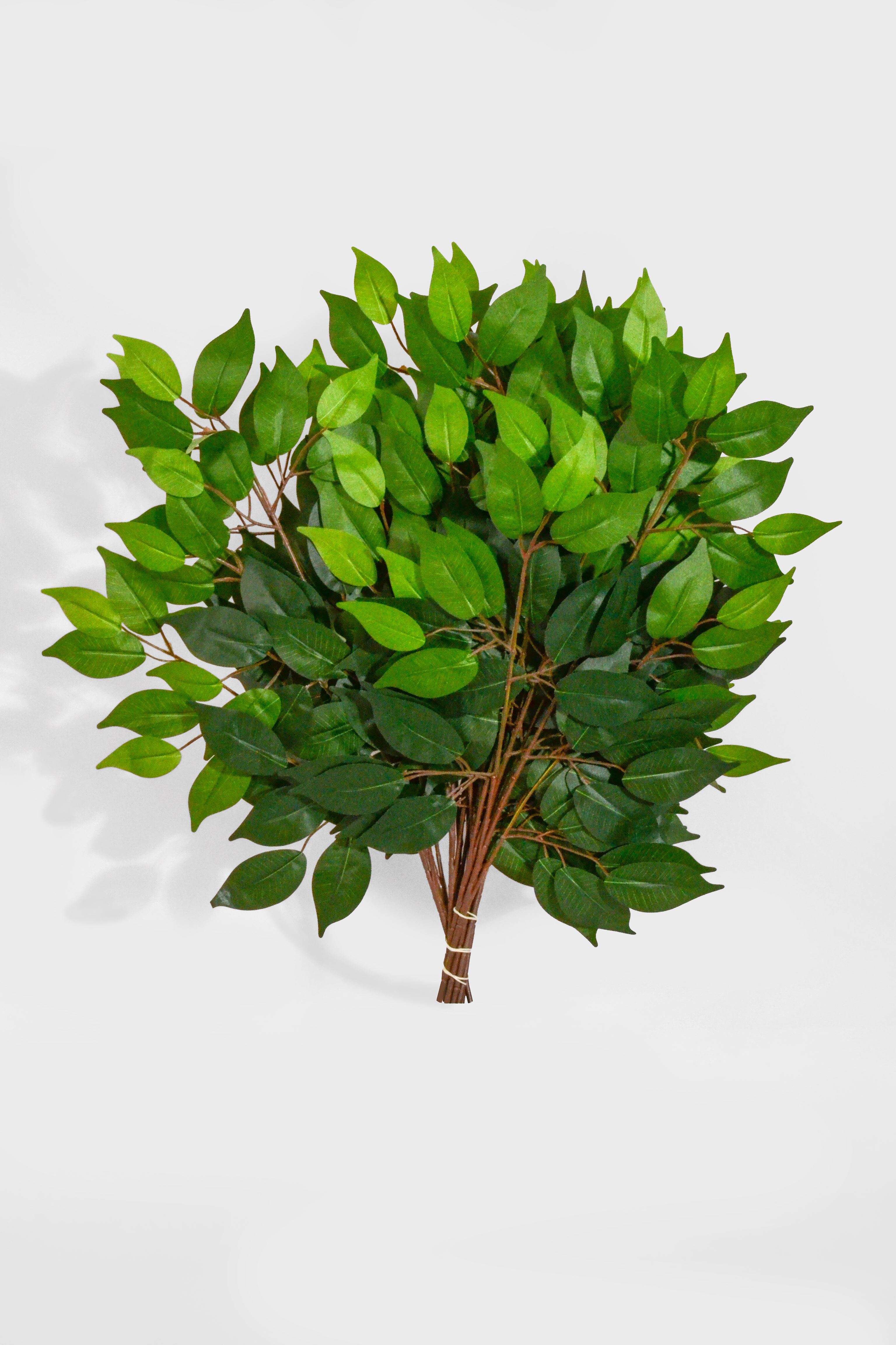 23" Artificial Uv Ficus Spray Green Pkg/12