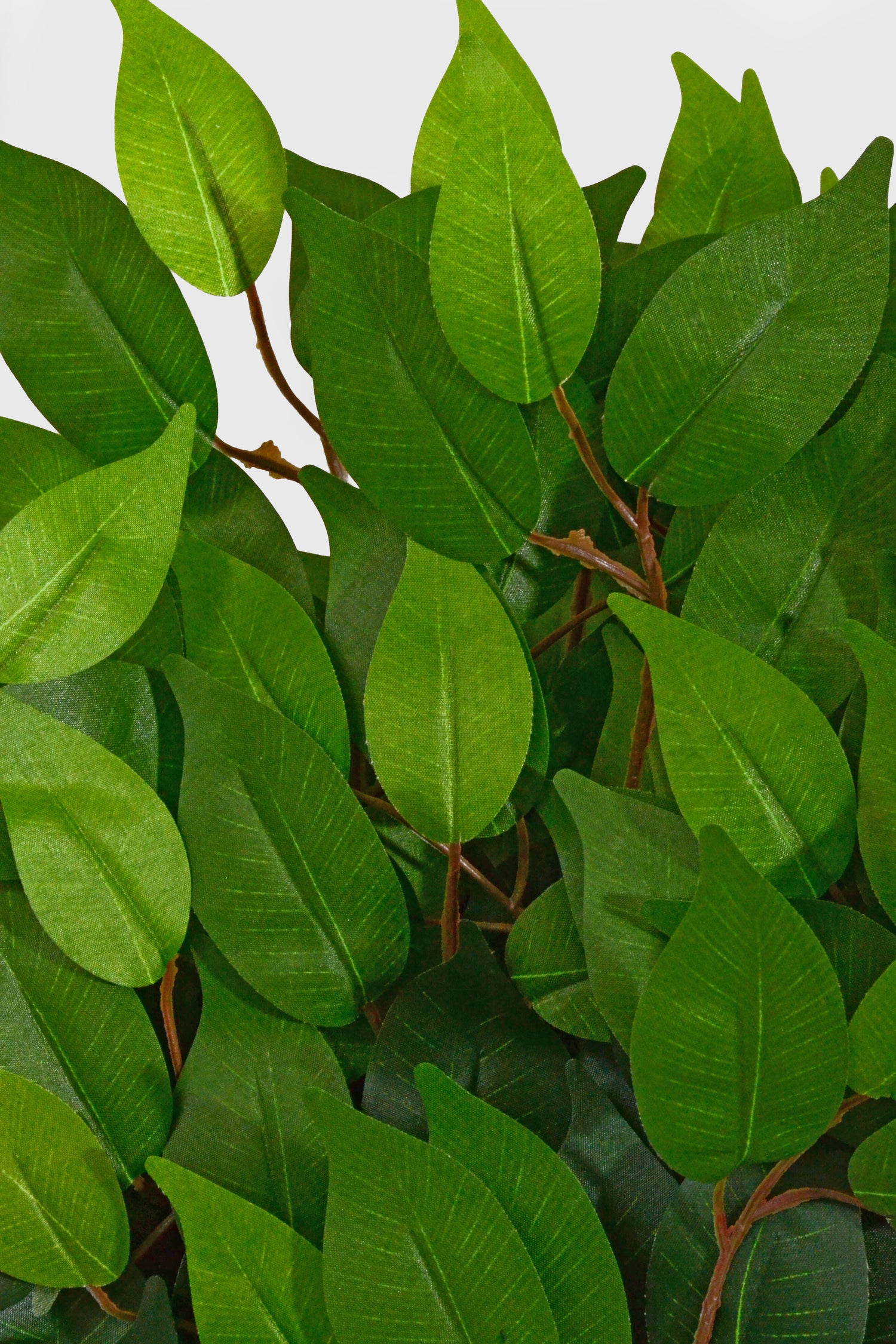 23" Artificial Uv Ficus Spray Green Pkg/12