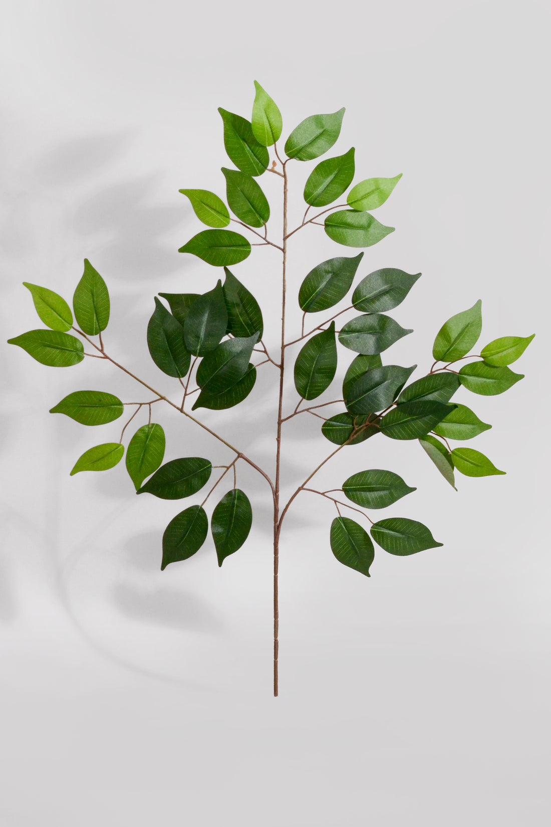 23" Artificial Uv Ficus Spray Green Pkg/12