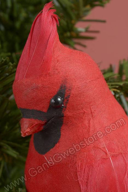 8" Cardinal W/clip Red Set/2