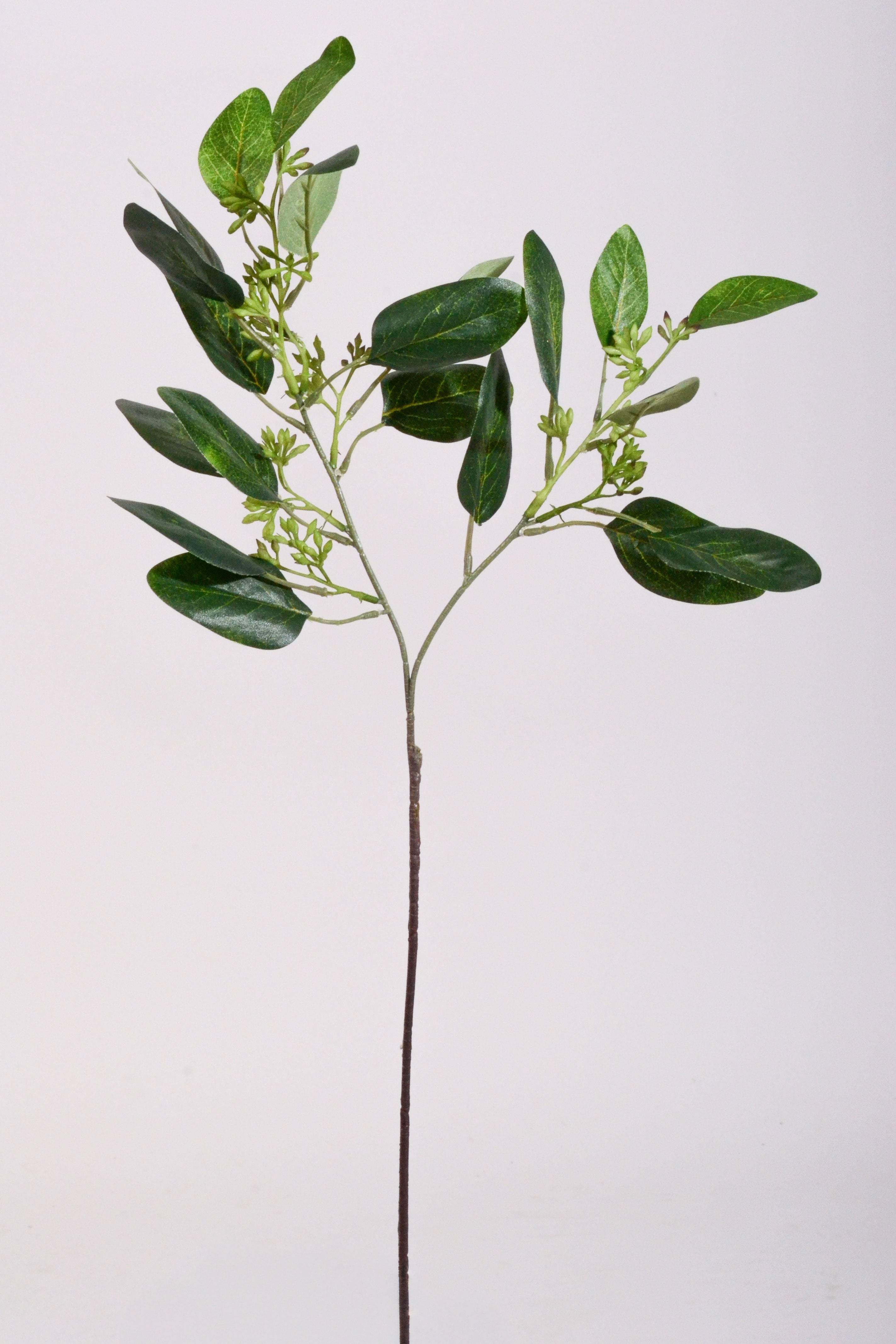 19.5" Seeded Eucalyptus Spray Green