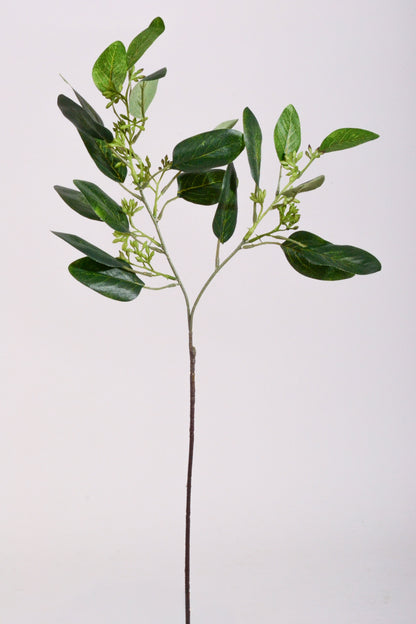 19.5" Seeded Eucalyptus Spray Green