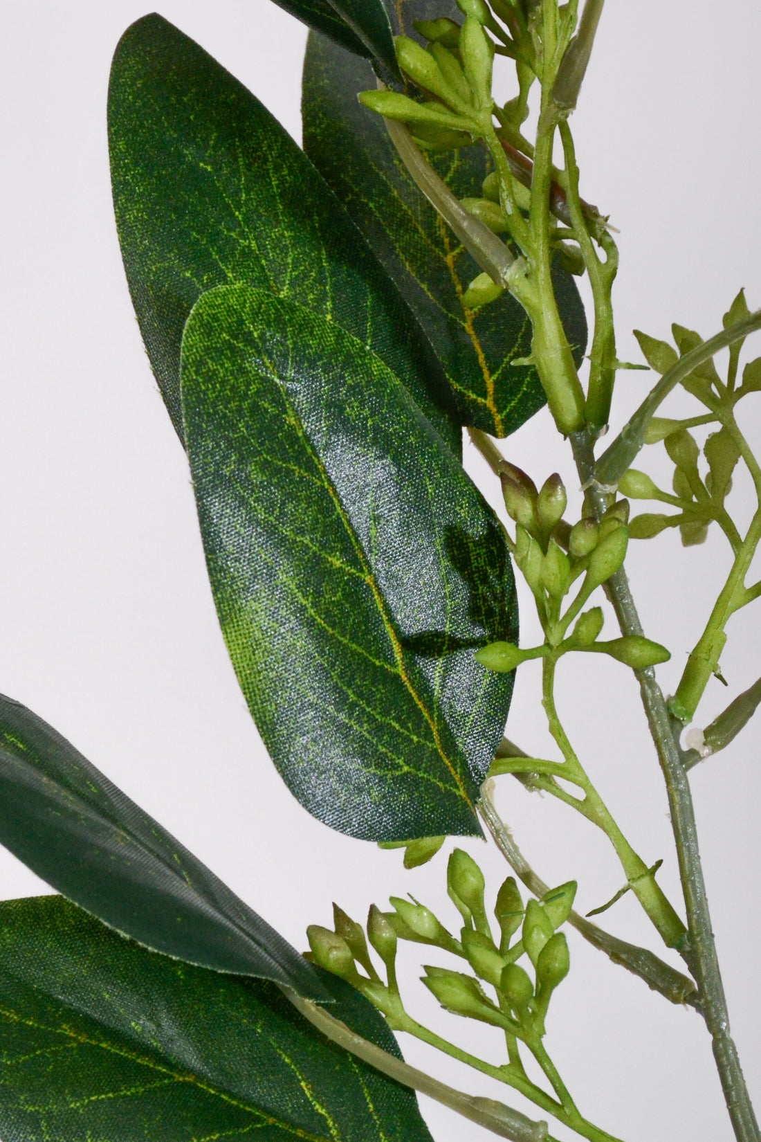 19.5" Seeded Eucalyptus Spray Green